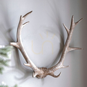 Nástenná dekorácia parohy Bjorn Gallery Direct Whitewash polyživica 55 cm small 1