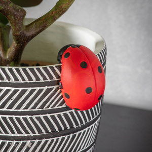 Záves na kvetináč lienka Eve Gallery Direct 2 ks starožitná biela polyresin 1 Záves na kvetináč lienka Eve Gallery Direct 2 ks starožitná biela polyresin small 1