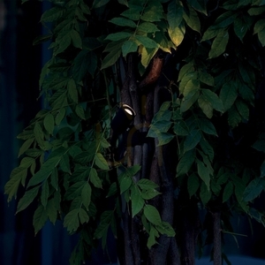 Vonkajšie nástenné svietidlo Ideallux KOALA AP 7W čierne 345666 small 2