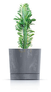TUBO P BETON EFFECT mrazuvzdorný kvetináč - betón 1,8 l 1 TUBO P BETON EFFECT mrazuvzdorný kvetináč - betón 1,8 l small 1