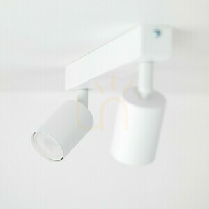 Stropné svietidlo Nex White 2 Xgu10. small 3