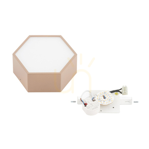 Plafón ARGON Libero LED 1150 lm 3000 K broskyňový 8782 small 5