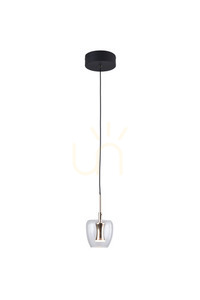 Závesné svietidlo Zuma Line NELSON MD2291-1A-3BGN čierna 1xLED small 0