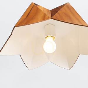 Teakové závesné svietidlo Quintiesse PHYSALIS QN-PHYSALIS-P-M-TEAK 1×E27 Ø46 cm small 3