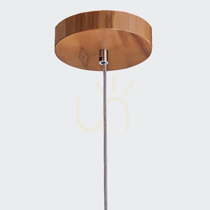 Teakové závesné svietidlo Quintiesse PHYSALIS QN-PHYSALIS-P-M-TEAK 1×E27 Ø46 cm small 4