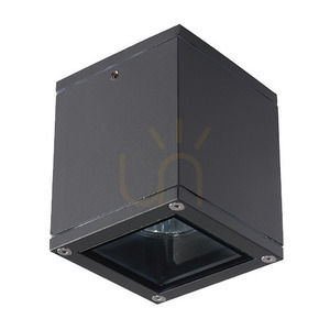 Vonkajšie stropné svietidlá Xgu10 Graphite ZAMBELIS small 1