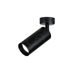 Stropný pohyblivý reflektor LED 9W čierny ZAMBELIS small 0