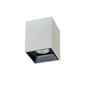 Stropný reflektor LED 10W biely ZAMBELIS small 0