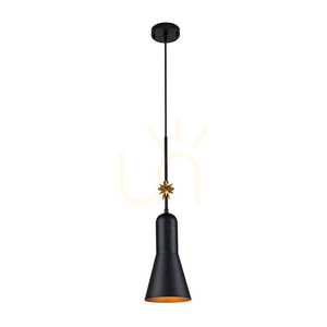 Stredná závesná lampa Etoile - 1 svetelný zdroj - Matná čierna / Zlaté lístky Elstead small 0