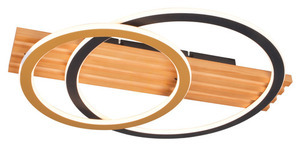 Stropné svietidlo Zuma Line SERANA C230617002B zlatá 1xLED small 0