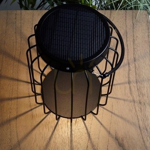 Stolová lampa Endon Tropic čierna oceľ/sklo LED 4,3 W small 6
