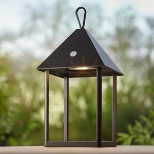 Vonkajšia LED lampa Endon Hoot Medium čierna IP44 106789 small 4