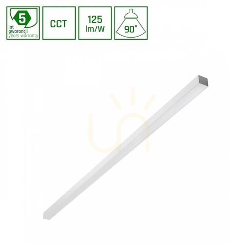 ALLDAY BASIC