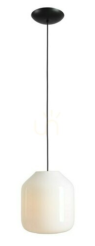 Skontrolujte Závesné svietidlo Aldex Flask Orchid L kov sklo 8500G1_L