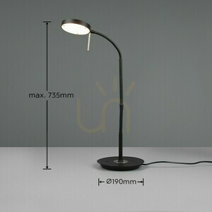 Stolná lampa Trio NEMIO DL132523310 small 9