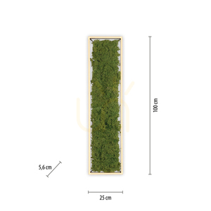 GREEN KNUT Plafond 15623-66 béžová 1xLED small 7