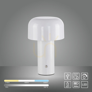 Stolová lampa AGNES 19190-16 biela 1xLED small 24