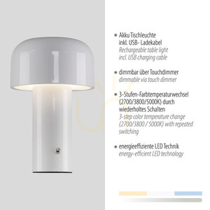Stolová lampa AGNES 19190-16 biela 1xLED small 3