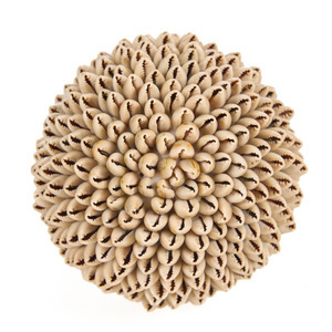 Dekoračná mušľa Oluolu 13 cm L small 7