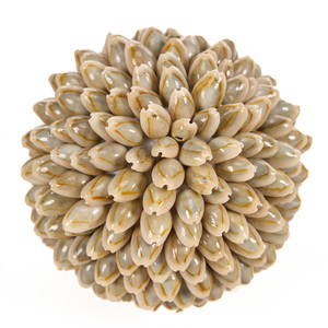 Dekoratívna guľa z mušlí Bazar Bizar Oluolu Shell Ball M, Ø 11 cm, biela small 2