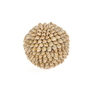 Dekoratívna guľa z mušlí Bazar Bizar Oluolu Shell Ball M, Ø 11 cm, biela small 3