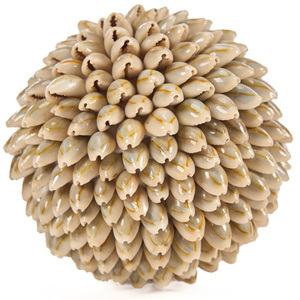 Dekoratívna guľa z mušlí Bazar Bizar Oluolu Shell Ball M, Ø 11 cm, biela small 6