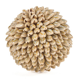 Dekoratívna guľa z mušlí Bazar Bizar Oluolu Shell Ball M, Ø 11 cm, biela small 8