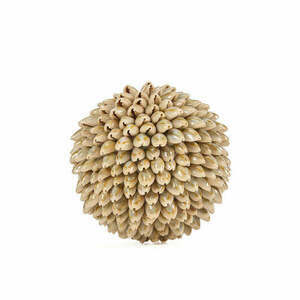 Dekoratívna guľa z mušlí Bazar Bizar Oluolu Shell Ball M, Ø 11 cm, biela small 0