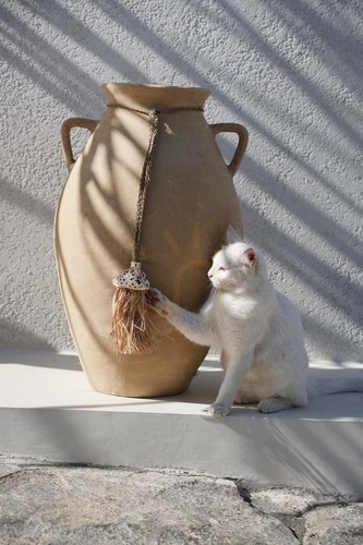 Skontrolujte Dekoratívny strapec BAZAR BIZAR Raffia Lupina Natural z rafie a mušle 45 cm