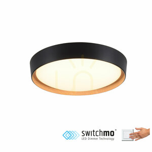 LED stropné svietidlo Zuma Line EMILIA 14347-18 čierne s dekorom dreva 29 W 40 cm small 1