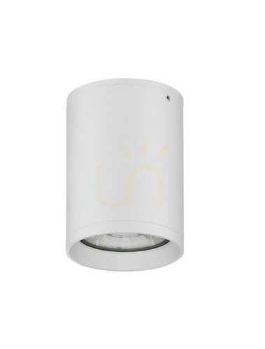 Skontrolujte ADALIA Luces Exclusivas Outdoor Plafonds LE73538