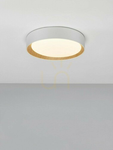 Skontrolujte Plafón ROSITA Luces Exclusivas LE43583