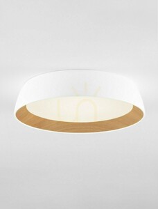 Plafón CARACOLLO Luces Exclusivas LE44811 small 2