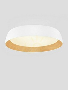 Plafón CARACOLLO Luces Exclusivas LE44812 small 2