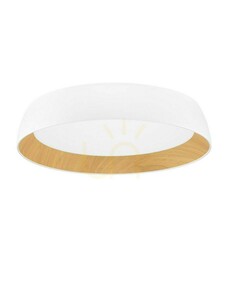 Plafón CARACOLLO Luces Exclusivas LE44812 small 0