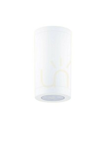 TARAPOTO Luces Exclusivas Outdoor Plafonds LE73773 4 TARAPOTO Luces Exclusivas Outdoor Plafonds LE73773 small 4