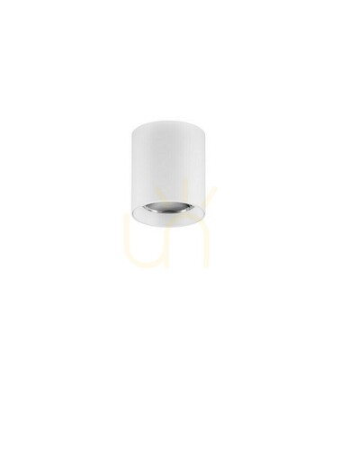 Skontrolujte Stropné svietidlo Luces Exclusivas BARBAD biele LED 10 W LE45920