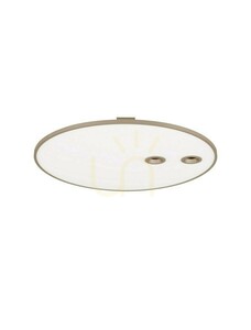 Plafón VALVER Luces Exclusivas LE46212 small 0
