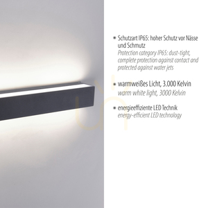 Nástenné svietidlo ROBERT 9676-13 Antracit 1xLED small 3