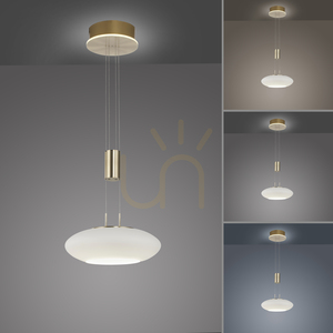 Q-ETIENNE 2075-60 Brown 2xLED závesné svietidlo 4 Q-ETIENNE 2075-60 Brown 2xLED závesné svietidlo small 4