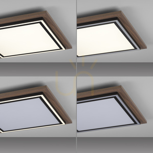 LED stropné svietidlo Paul Neuhaus PALMA 6141-79, dekor dreva, 53,4 cm, CCT, diaľkové ovládanie small 13