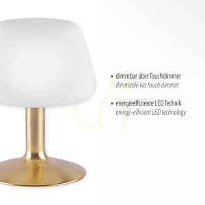 Stolová lampa TILL 4078-60 Mosadz 1xG9 3 Stolová lampa TILL 4078-60 Mosadz 1xG9 small 3