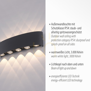 LED nástenné svietidlo Paul Neuhaus CARLO 9489-13, antracitové, 27 cm, IP54 small 3