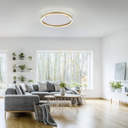 Skontrolujte LED stropné svietidlo JUST LIGHT RITUS 15391-60, matná mosadz, 39,3 cm, Switchmo