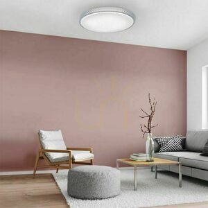 Stropné LED svietidlo Paul Neuhaus / JUST LIGHT Frida 14373-00 small 9