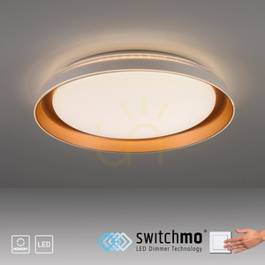 SATI Plafond 14368-60 Mosadz 1xLED small 11