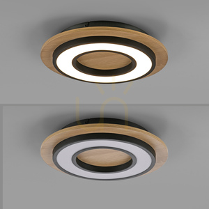 TOLA plafond 14560-18 Black 1xLED small 12