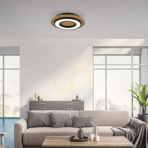 TOLA plafond 14560-18 Black 1xLED small 2