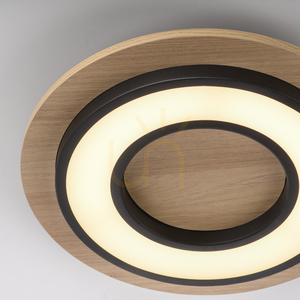 TOLA plafond 14560-18 Black 1xLED small 9