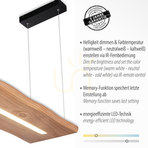 Závesné svietidlo PALMA 2625-79 Black 1xLED small 3